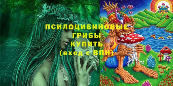 спайс Елизово