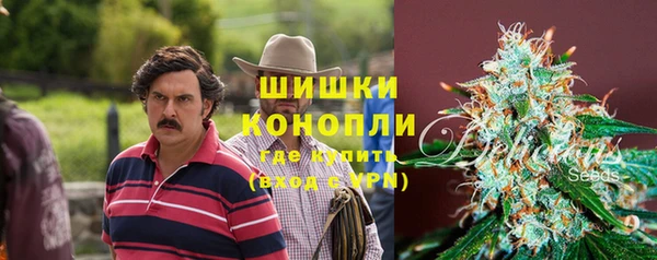 трава Елабуга