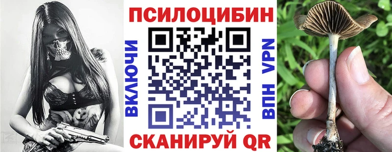 Галлюциногенные грибы Psilocybe  Северобайкальск 