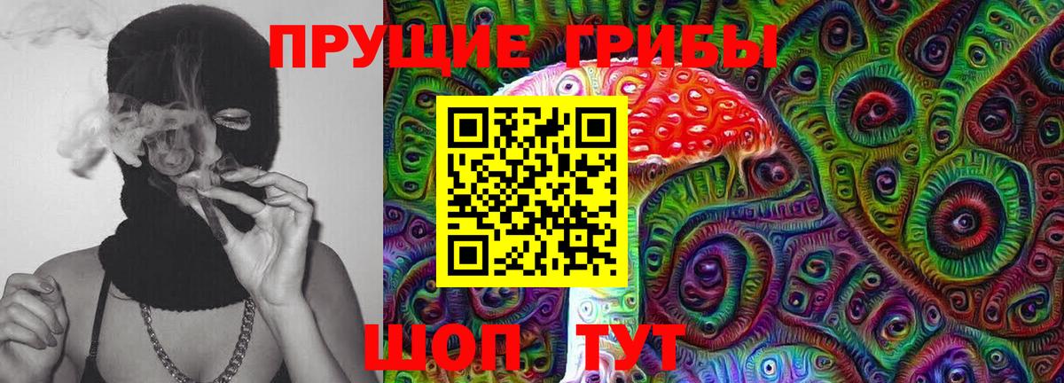 Галлюциногенные грибы прущие грибы Северобайкальск