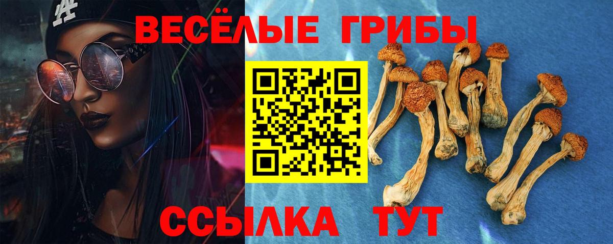 Северобайкальск  Псилоцибиновые грибы GOLDEN TEACHER  Вход с VPN 